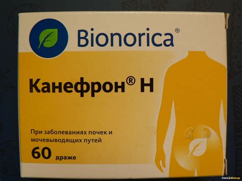 Канефрон: препарат с мочегонным действием