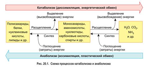 Квантовые принципы и возможность преобразования энергии в вещество