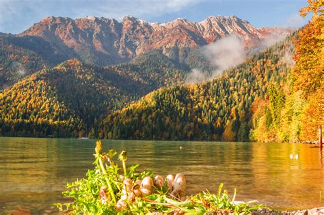 Климат и погода в Абхазии: лучшее время для посещения