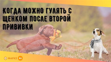 Когда можно гулять после прививки?