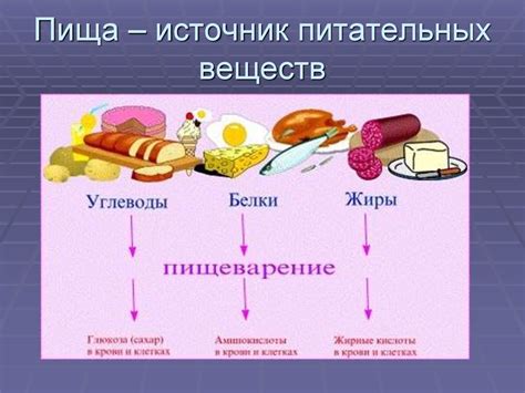 Комплексный источник питательных веществ