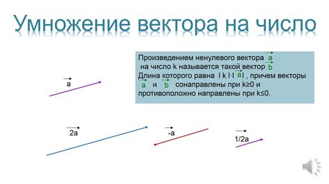 Компоненты вектора