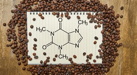 Кофеин и танин: общая информация