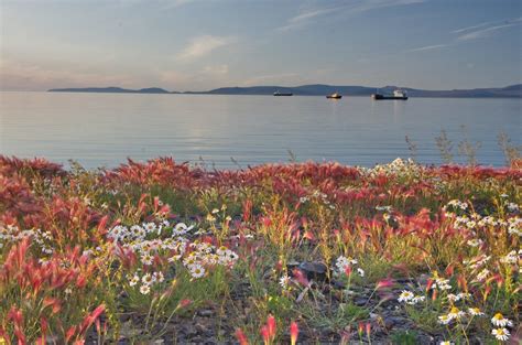 Культурное наследие моря Лаптевых