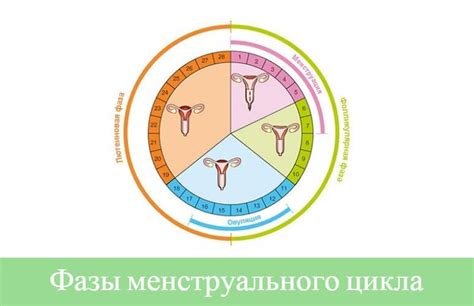 Лечение и корректировка цикла 32 дня