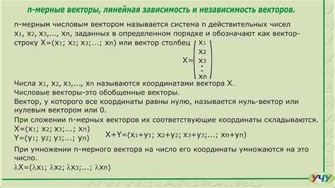 Линейная независимость векторов в базисе