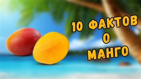 Лучшее время для употребления манго