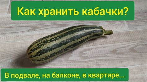 Максимальный срок хранения замороженных кабачков