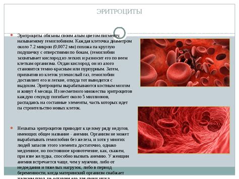 Меры профилактики и лечение падения давления и низкого уровня гемоглобина