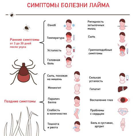 Методы передачи боррелиоза