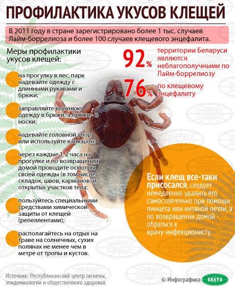 Методы предотвращения укусов клещей