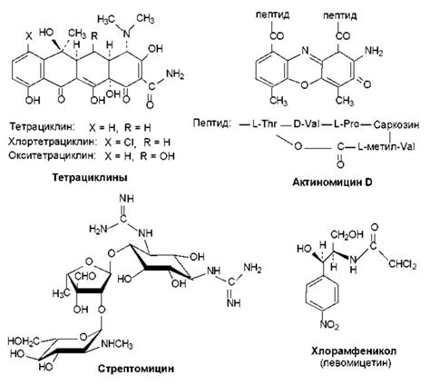 Механизмы воздействия антибиотиков на редукторную аксонную формулу