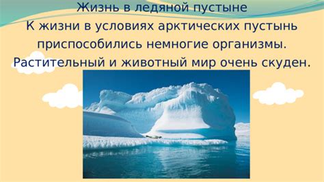 Механизмы теплорегуляции в организме пингвинов в условиях арктических пустынь