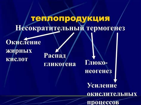 Механизмы термогенеза при голодании