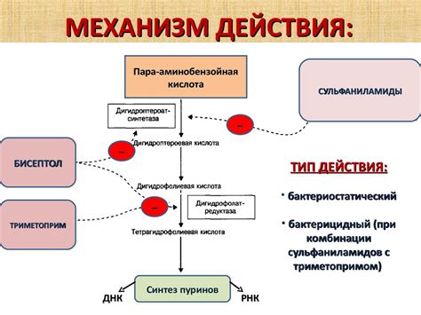 Механизм действия