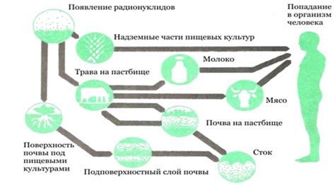 Механизм действия кефира на организм