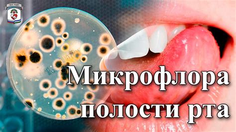 Мистическое толкование: изъятие волос изо полости рта