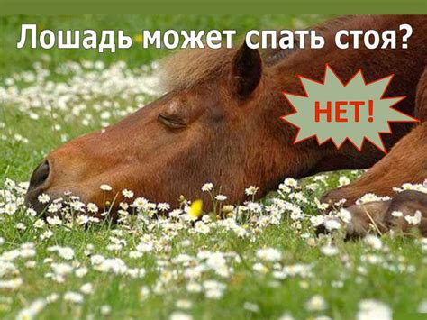 Мифы и заблуждения: