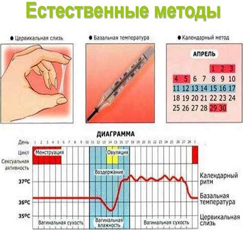 Мифы и реальность: ощущения мужчины при овуляции женщины