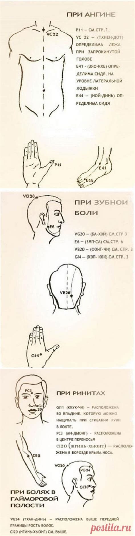 Мифы и реальность: помогает ли звездочка от заболеваний?