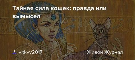 Мифы о мойве для кошек: правда или вымысел?