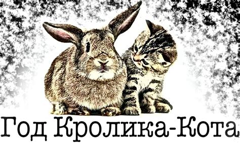 Мифы о совместном проживании кота и кролика