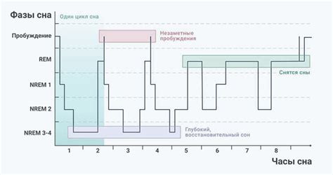 Миф или реальность: наличие глубокой фазы сна у лошадей