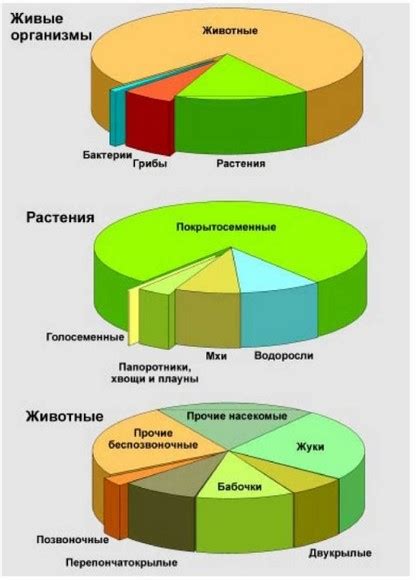 Множество комнат: обиталище, которое отразит огромное разнообразие жизни