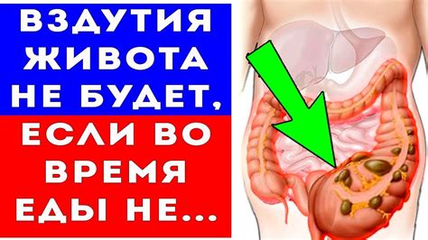 Может ли причиной вздутия живота быть употребление грибов