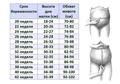 Можно ли сидеть на горшке во время беременности