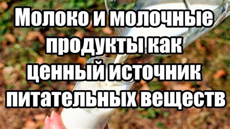 Молоко как источник питательных веществ для вислоухих кошек