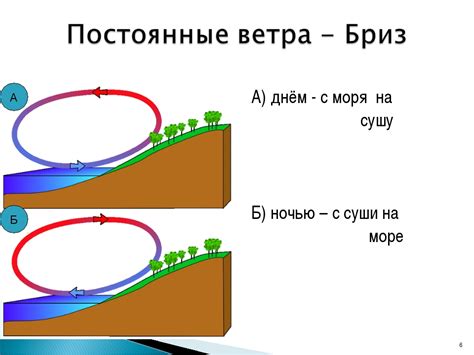 Морской бриз в Адлере: освежающие ветра