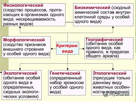 Морфологический критерий: универсальный или индивидуальный?