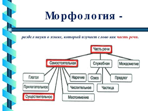 Морфология однобуквенных слов