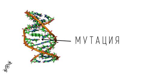 Мутации и генетические нарушения