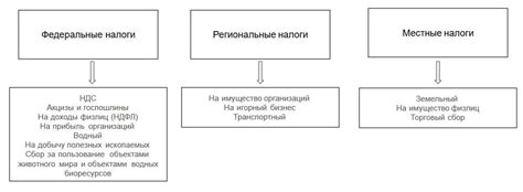 Налоговая система в Чернобыльской зоне: особенности и практика