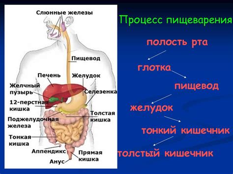 Нарушение пищеварения