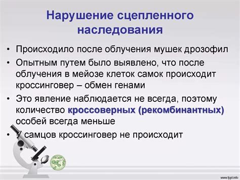 Нарушение принципов или простое наследование?