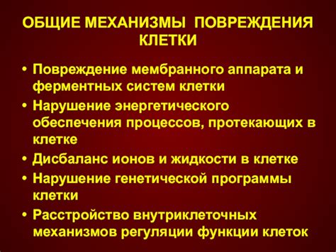 Нарушение функционирования: повреждение аппарата