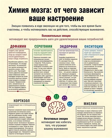 Нейротрансмиттеры и их роль в возникновении тошноты