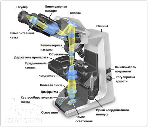 Необходимость в разработке электронного микроскопа