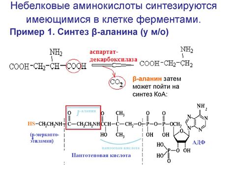 Необходимость синтеза аминокислот