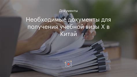 Необходимые документы для получения визы