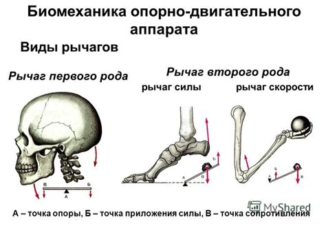 Неправильная работа рычагов