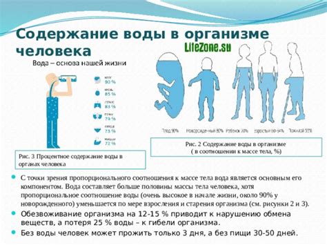 Низкокалорийность и высокое содержание воды