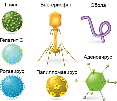 Новые виды вирусов