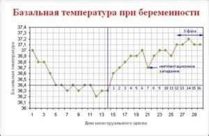 Нормальное явление или тревожный симптом?