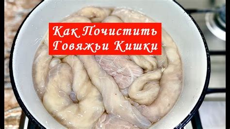 Нужно ли чистить кишки?