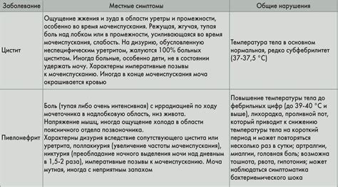 ОКТМО с 11 знаками: с чем его можно спутать и как не ошибиться?