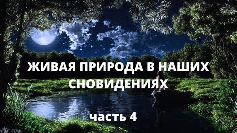 Обнаружение символики в сновидениях: разгадывая тайны наших ночных приключений